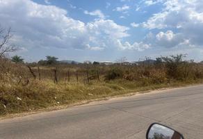 Foto de inmueble en Camino al Viejo Seminario, Col. San Antonio Juanacaxtle C.P. 45880, Juanacatlán