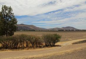 Foto de inmueble en Camino a los Invernaderos, Col. San Miguel Cuyutlan C.P. 45660, Tlajomulco de Zúñiga