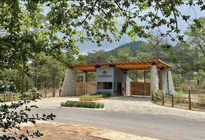Foto de inmueble en Carretera Chiquilistlan, Col. Tapalpa C.P. 49340, Tapalpa