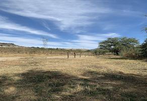 Foto de inmueble en miel de agave, Col. Tequila Centro C.P. 46400, Tequila