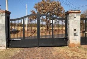 Foto de inmueble en Pino, Col. Tequililla C.P. 45478, Acatic