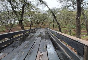 Foto de inmueble en RESERVA LOS ENCINOS, Col. Teuchitlán C.P. 46760, Teuchitlán
