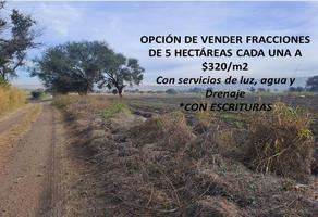 Foto de inmueble en 20 de Noviembre, Col. Zapotlanejo C.P. 45430, Zapotlanejo