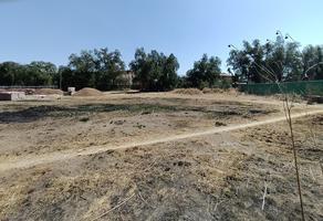 Foto de inmueble en , Col. Amajac C.P. 56036, Chiautla
