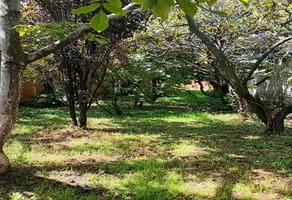 Foto de inmueble en Sin nombre de calle, Col. Calayuco C.P. 56860, Juchitepec