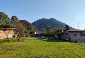 Foto de inmueble en 400m de Terreno Plano con Orientación Sur en Cerro Gordo, Avándaro, Col. Cerro Gordo C.P. 51239, Valle de Bravo