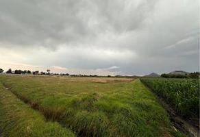 Foto de inmueble en 9846+vv6 Ojo de Agua, Estado de México, Col. De Palmillas C.P. 50285, Toluca