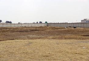 Foto de inmueble en Nicolás Bravo, Col. De Pueblo Nuevo C.P. 50294, Toluca