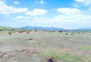 Foto de inmueble en Terreno EN Venta Malinalco, Col. El Puentecito C.P. 52464, Malinalco