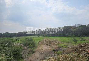 Foto de inmueble en Espíritu Santo, Col. Espíritu Santo C.P. 54570, Jilotzingo
