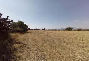 Foto de inmueble en Tlexpan, Col. Ex-Hacienda de Tepatepec C.P. 55975, Nopaltepec