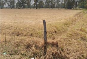 Foto de inmueble en KM 35 PUEBLO NUEVO, Col. Ex-hacienda Santa Inés C.P. 55796, Nextlalpan