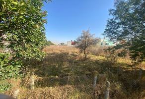 Foto de inmueble en calle 7, Col. Ixtapaluca Centro C.P. 56530, Ixtapaluca