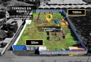 Foto de inmueble en Manzana 021, 56070 Los Reyes Nopala, Méx., Col. La Concepción Jolalpan C.P. 56070, Tepetlaoxtoc