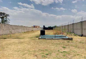 Foto de inmueble en Los Sauces, Col. La Purificación Tepetitla C.P. 56240, Texcoco