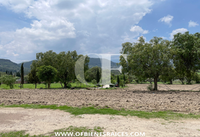 Foto de inmueble en Teacalco, Col. La Purificación Tepetitla C.P. 56240, Texcoco
