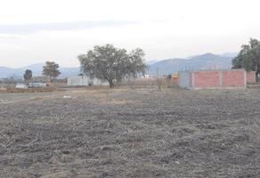 Foto de inmueble en Ejido, Col. Los Reyes San Salvador C.P. 56214, Texcoco