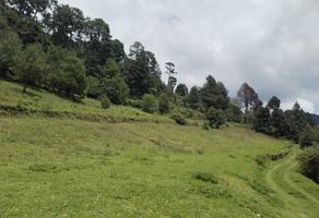 Foto de inmueble en Saucos, Col. Los Saúcos C.P. 51200, Valle de Bravo