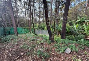 Foto de inmueble en Las Joyas, Col. Mesa de Jaimes C.P. 51229, Valle de Bravo