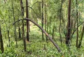 Foto de inmueble en Escalerilla #100, Col. Peña Blanca C.P. 51227, Valle de Bravo