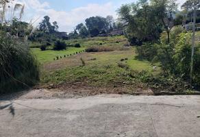Foto de inmueble en Pipiol, Col. Pipioltepec C.P. 51209, Valle de Bravo