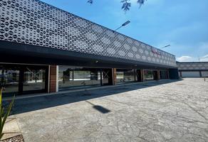 Foto de inmueble en Local en Renta Plaza San Felipe Santa Fe Centro, Col. San Felipe Tlalmimilolpan C.P. 50250, Toluca