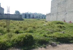 Foto de inmueble en Los Fresnos #S/N, Col. San Francisco Tlalcilalcalpan C.P. 50940, Almoloya de Juárez
