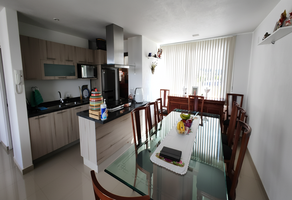 Foto de inmueble en Olivo, Col. San Juan Totoltepec C.P. 53270, Naucalpan de Juárez