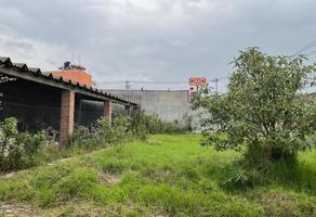 Foto de inmueble en La Magdalena, Col. San Lorenzo Tepaltitlán Centro C.P. 50010, Toluca