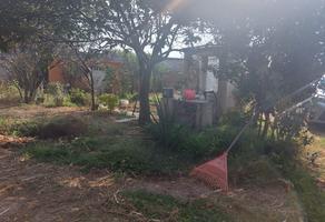 Foto de inmueble en Av. Reforma, 56704 San Lorenzo Tlalmimilolpan, Méx., México, Col. San Lorenzo Tlalmiminolpan C.P. 56704, Tlalmanalco