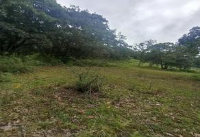 Foto de inmueble en La Vista, Col. San Mateo Xoloc C.P. 54600, Tepotzotlán