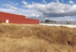 Foto de inmueble en El Pipila, Col. San Miguel Zinacantepec C.P. 51350, Zinacantepec