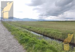 Foto de inmueble en Terreno Ejidal EN Venta Junto A LA Autopista Libramiento Bicentenario EN Lerma CON Salidas A Naucalp, Col. San Nicolás Peralta C.P. 52010, Lerma