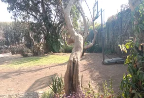 Foto de inmueble en Miguelina Negrete #S/N, Col. San Pedro C.P. 52440, Malinalco