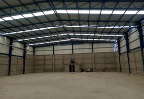 Foto de inmueble en , Col. San Pedro Potzohuacan C.P. 55744, Tecámac