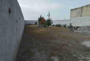 Foto de inmueble en Terreno en  Venta, Ejido de San Sebastián, Estado de México., Col. San Sebastián Xolalpa C.P. 55824, Teotihuacán