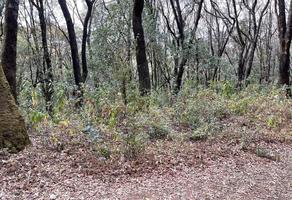 Foto de inmueble en San Miguel Tecpan, Col. Santa Ana Jilotzingo C.P. 54570, Jilotzingo
