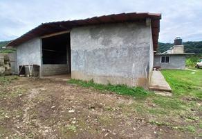 Foto de inmueble en La cuadrilla Godinez, Col. Santa María Ahuacatlan C.P. 51200, Valle de Bravo