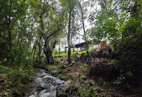 Foto de inmueble en tiloxtoc, Col. Santa María Ahuacatlan C.P. 51200, Valle de Bravo