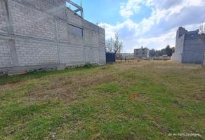 Foto de inmueble en Terreno en Venta en Santigo Tilapa, Col. Santiago Tilapa C.P. 52650, Tianguistenco