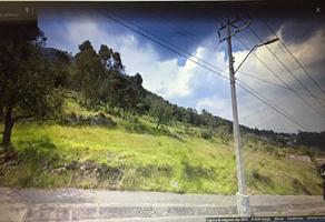 Foto de inmueble en Guadalupe Victoria, Col. Santiago Tlaxomulco Centro C.P. 50280, Toluca