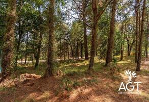 Foto de inmueble en Rancho Avandaro, Col. Tenantongo C.P. 51248, Valle de Bravo