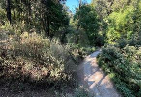Foto de inmueble en Valle de Bravo, Col. Tenantongo C.P. 51248, Valle de Bravo