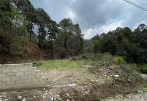 Foto de inmueble en Valle de Bravo, Col. Tenantongo C.P. 51248, Valle de Bravo