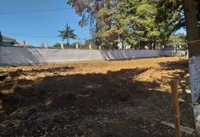 Foto de inmueble en MATAMOROS, Col. Villa Guerrero C.P. 51760, Villa Guerrero
