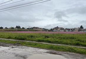 Foto de inmueble en , Col. Zimbrones C.P. 51355, Zinacantepec