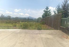 Foto de inmueble en Armadillo, Col. Enrique Ramírez C.P. 61608, Pátzcuaro