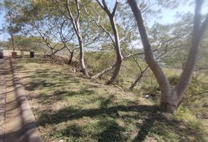 Foto de inmueble en LAS HACIENDAS S/N RANCHO DORADO , Col. José Sánchez del Río C.P. 59000 , Sahuayo