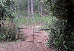 Foto de inmueble en Atecuaro, Predio Rustico EN EL Jabalin, Col. Pueblo Viejo C.P. 58356, Morelia
