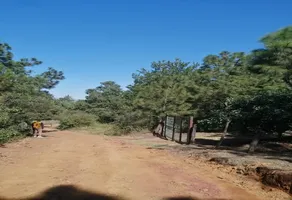 Foto de inmueble en ENTRADA AL CAMINO REAL NOCUTZEPO #SNInt. SN, Col. San Miguel Nocutzepo C.P. 61632, Erongarícuaro
